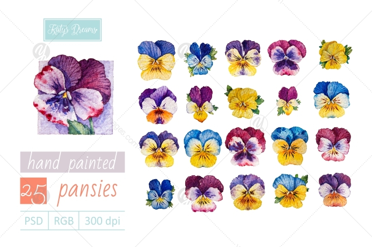 Watercolor set / Pansies Watercolor set / Pansies
