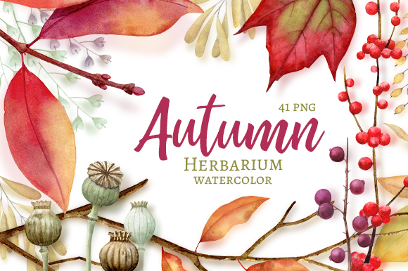 Autumn Herbarium Watercolor Clipart