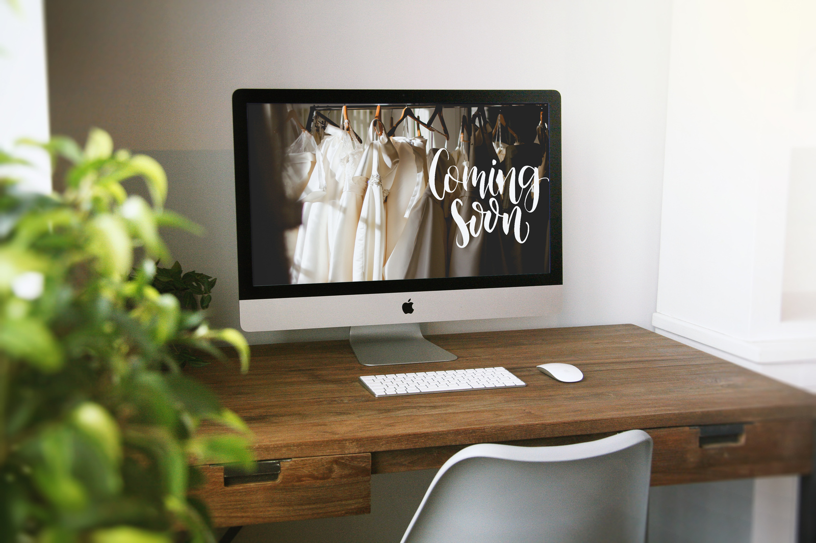 Social Media Lettering Creator Social Media Lettering Creator
