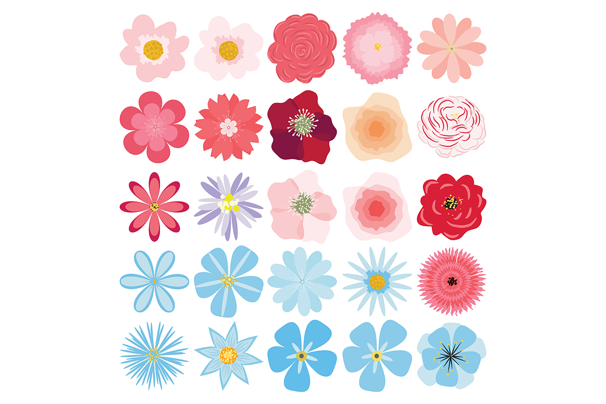 Vector Flower Collection