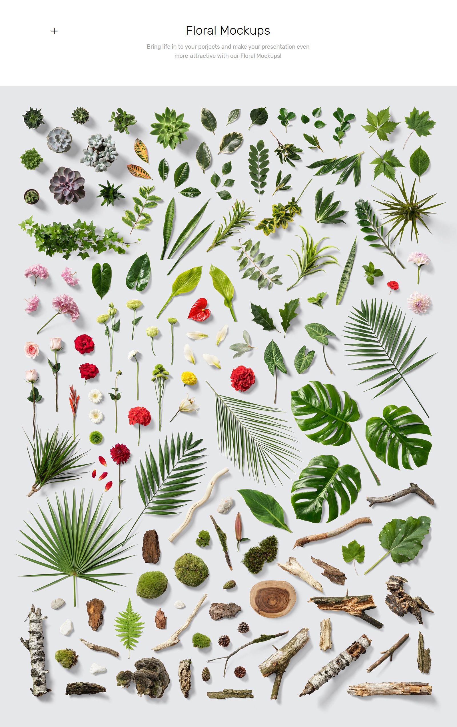 Floral Mockups + Stationery Pack Floral Mockups + Stationery Pack