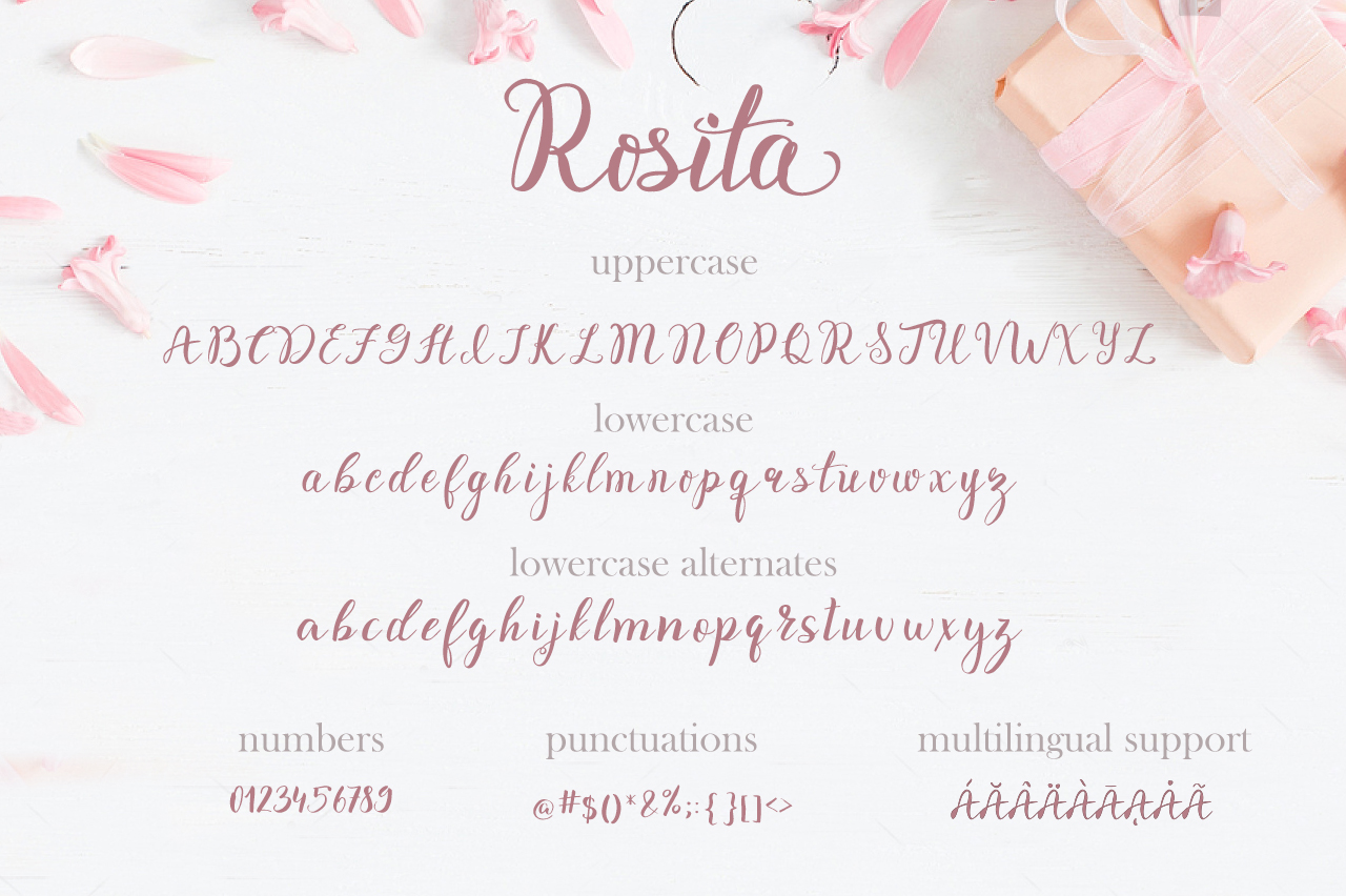 Rosita script - stylish brush font