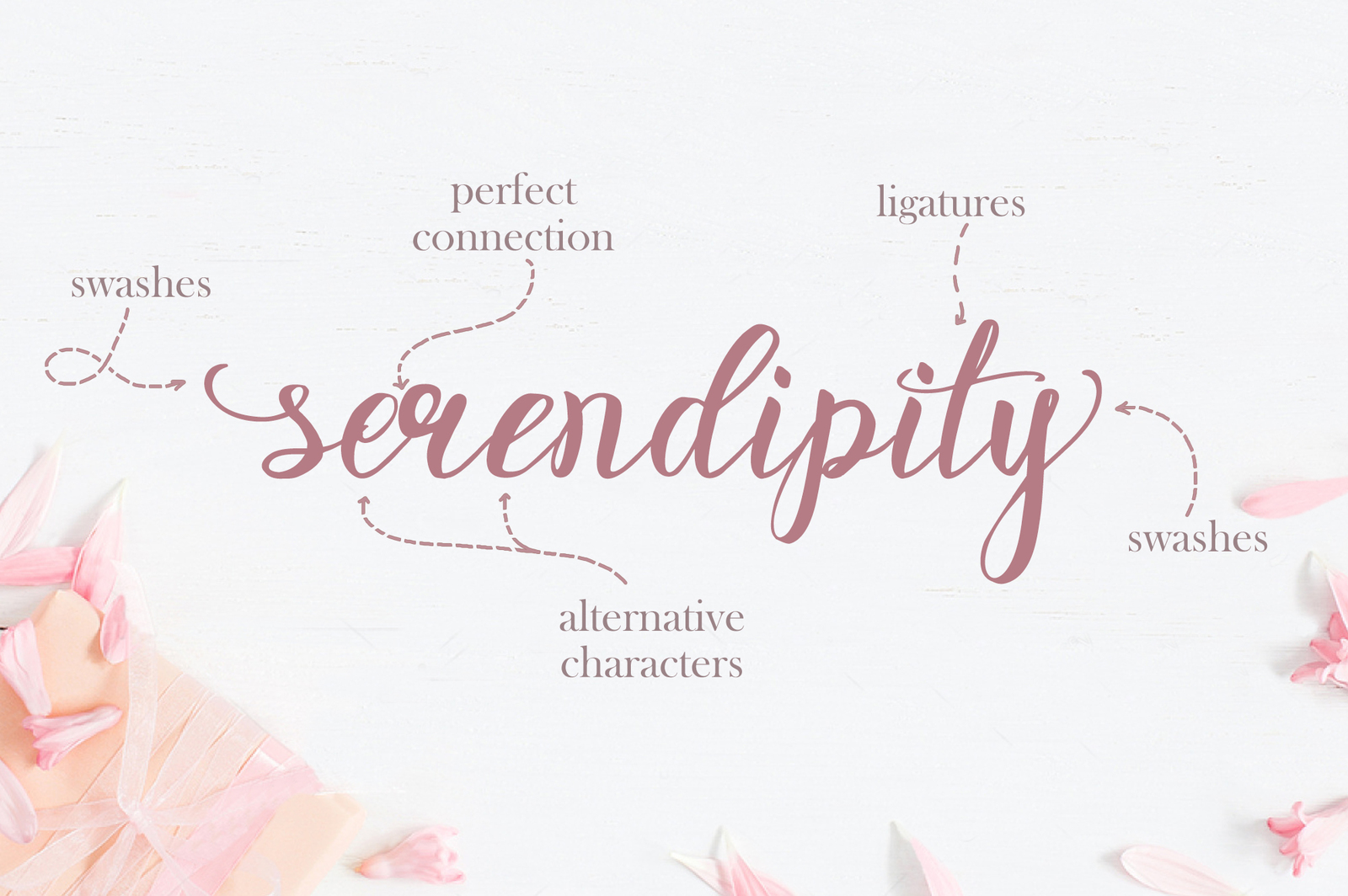 Rosita script - stylish brush font