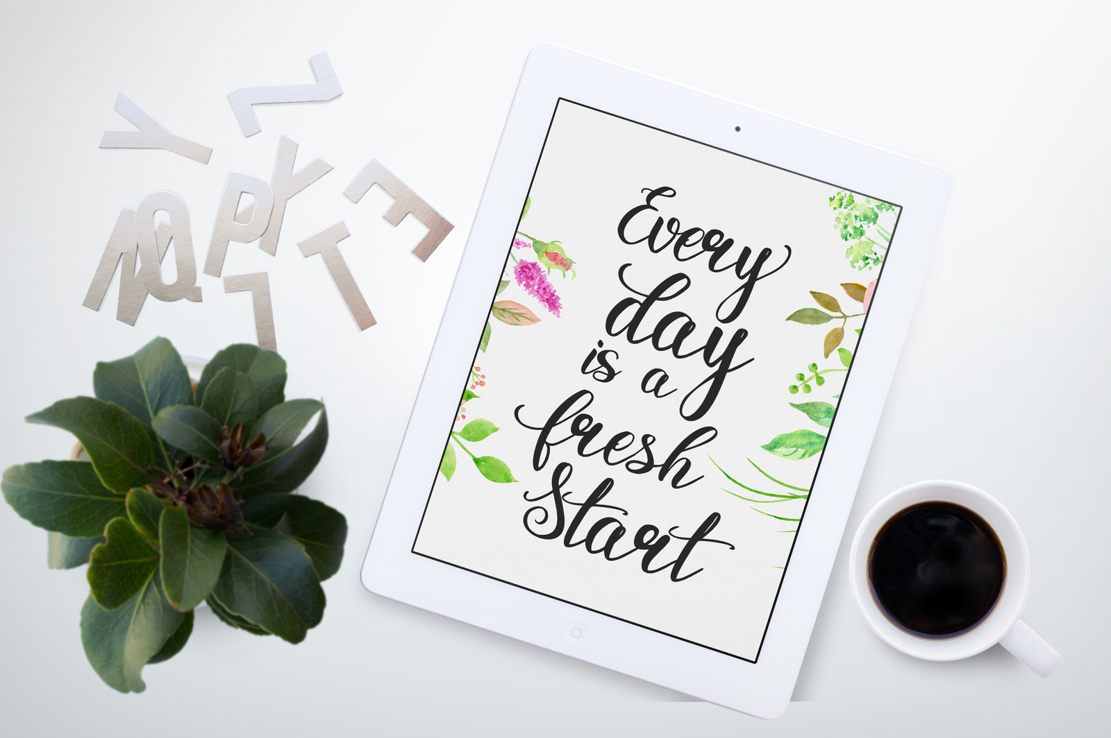 Rosita script - stylish brush font Rosita script - stylish brush font