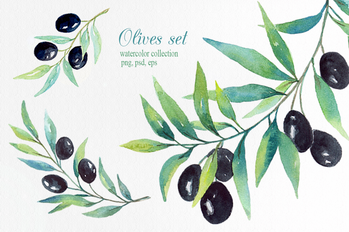 Olive set. Watercolor сollection