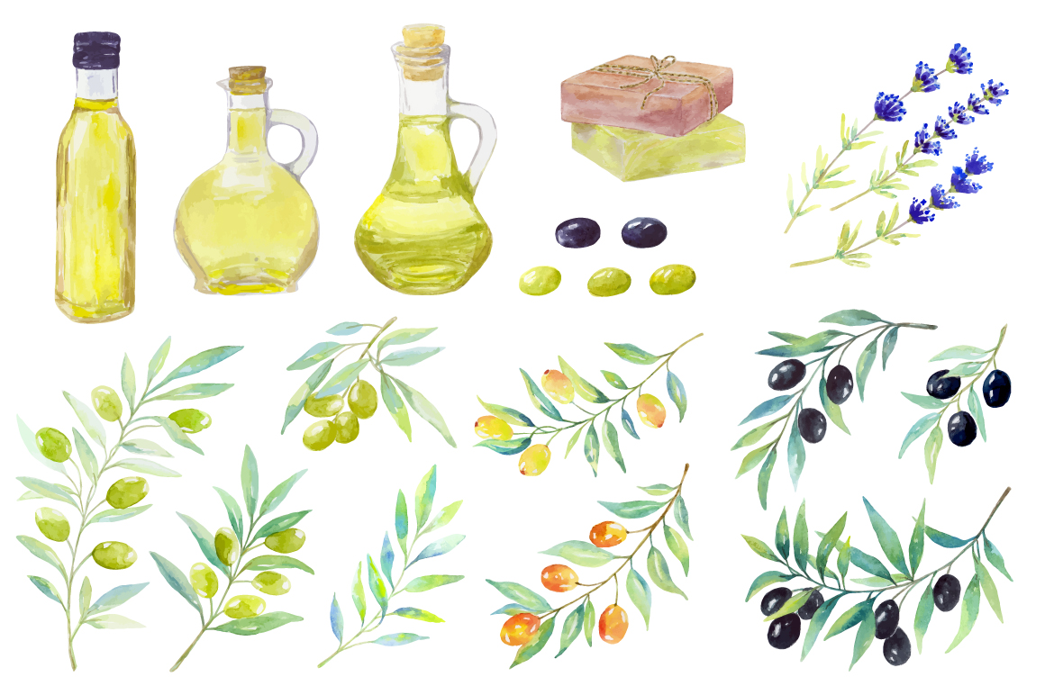 Olive set. Watercolor сollection