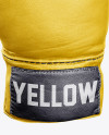 Boxing Glove Mockup - Front View