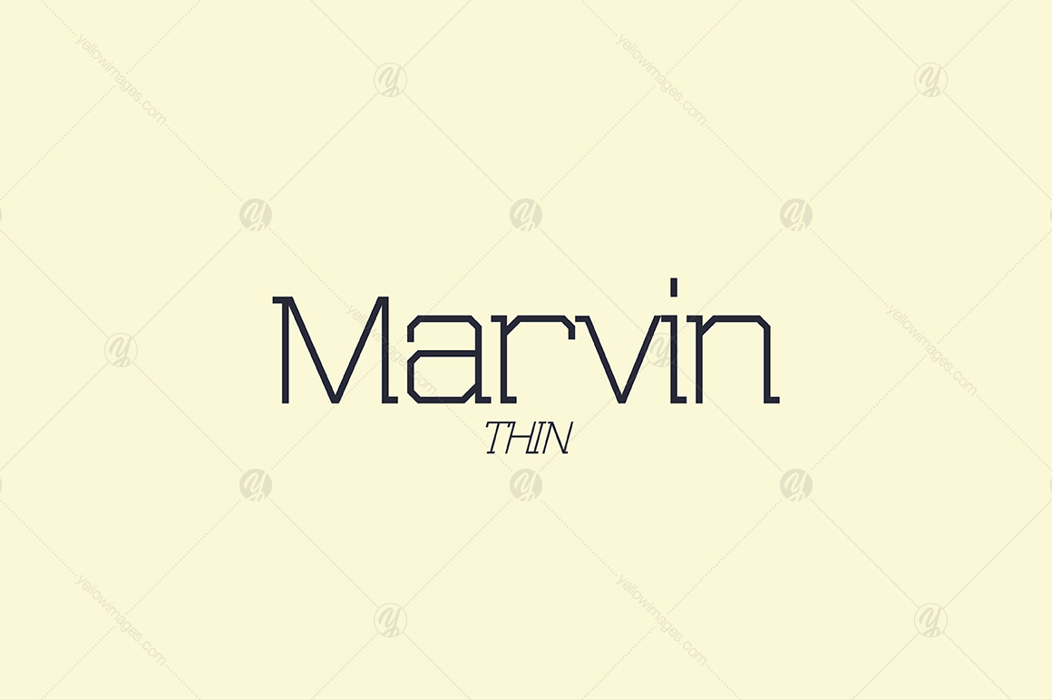 MARVIN Thin