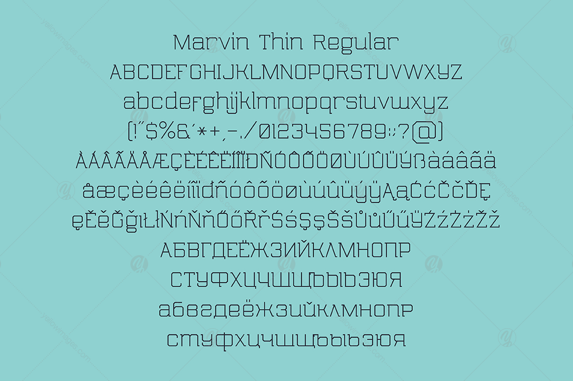 MARVIN Thin