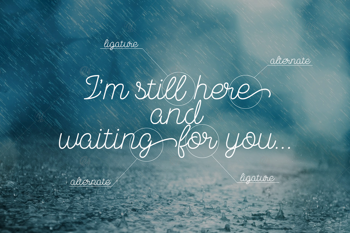November Rain script November Rain script