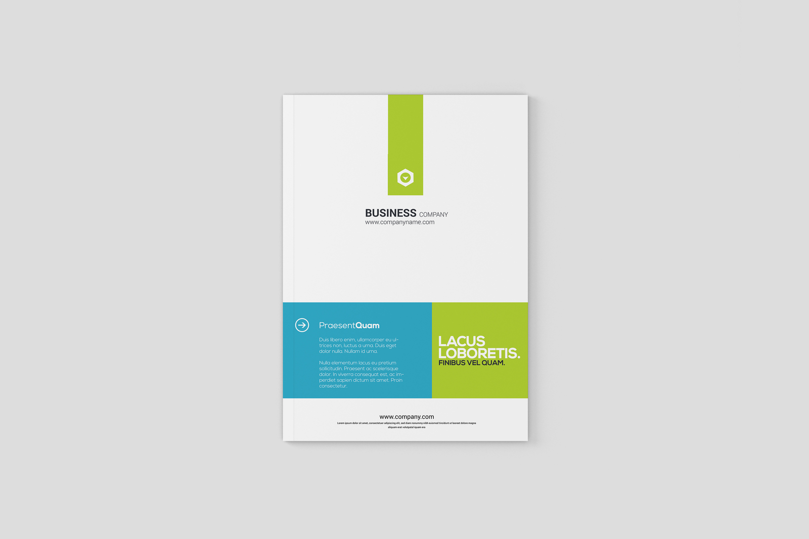 A5 Magazine / Brochure Mock-Ups