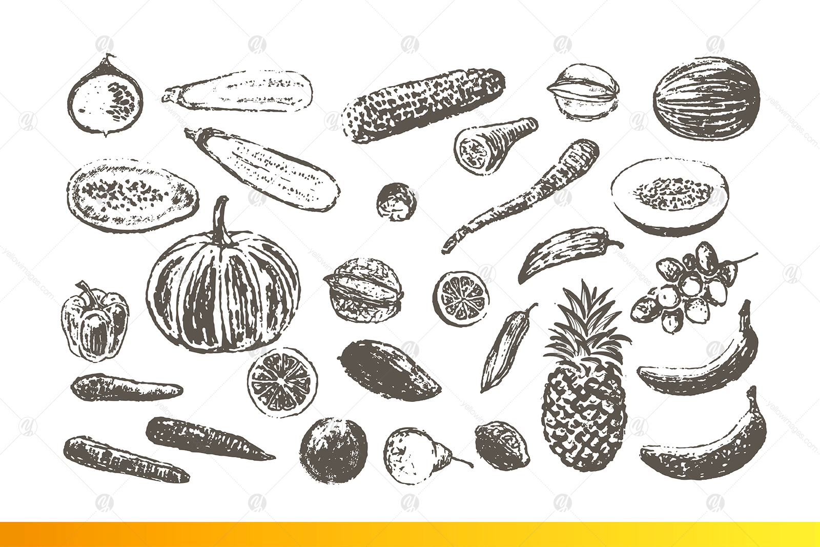 Fruits and Veggies Ink Drawings