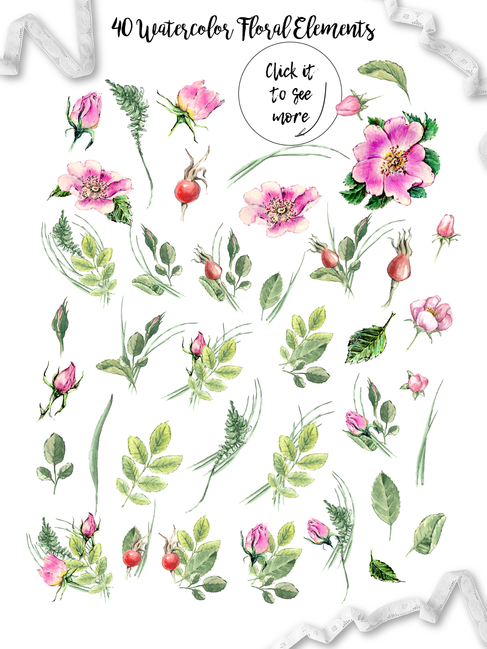 Watercolor flower Clip Art – Eglantine Watercolor flower Clip Art – Eglantine
