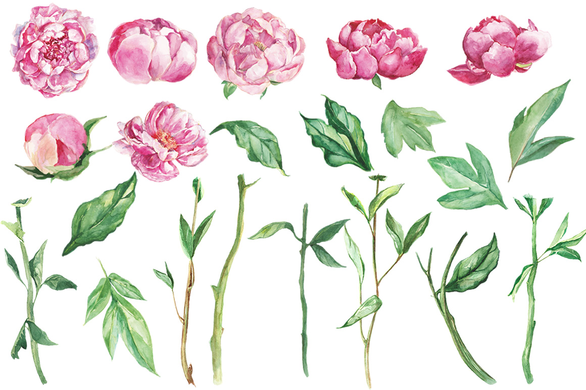 Romantic bouquet watercolor set