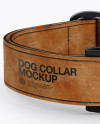 Leather Dog Collar Mockup - Front View (High-Angle Shot)