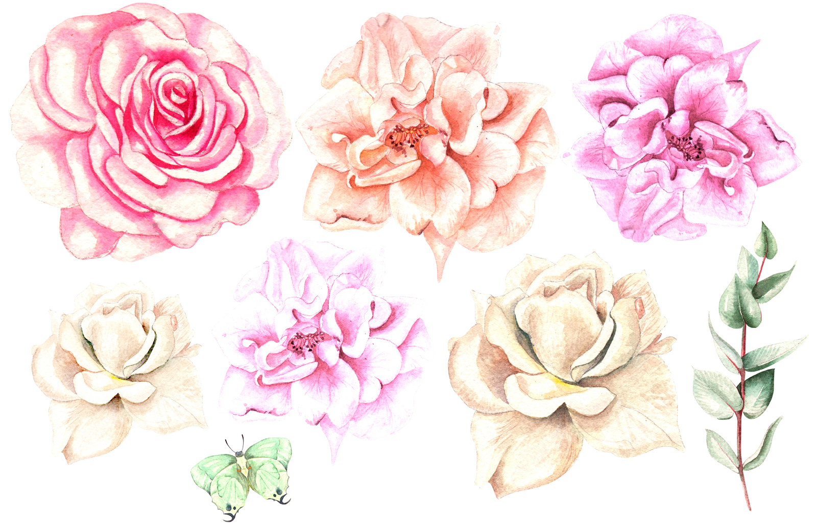 Hand Drawn Watercolor Flowers 64 PNG&amp;VECTOR