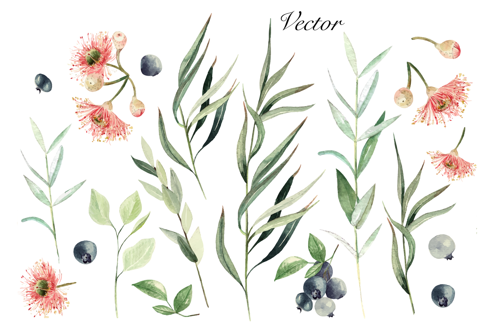 Hand Drawn Watercolor Flowers 64 PNG&amp;VECTOR