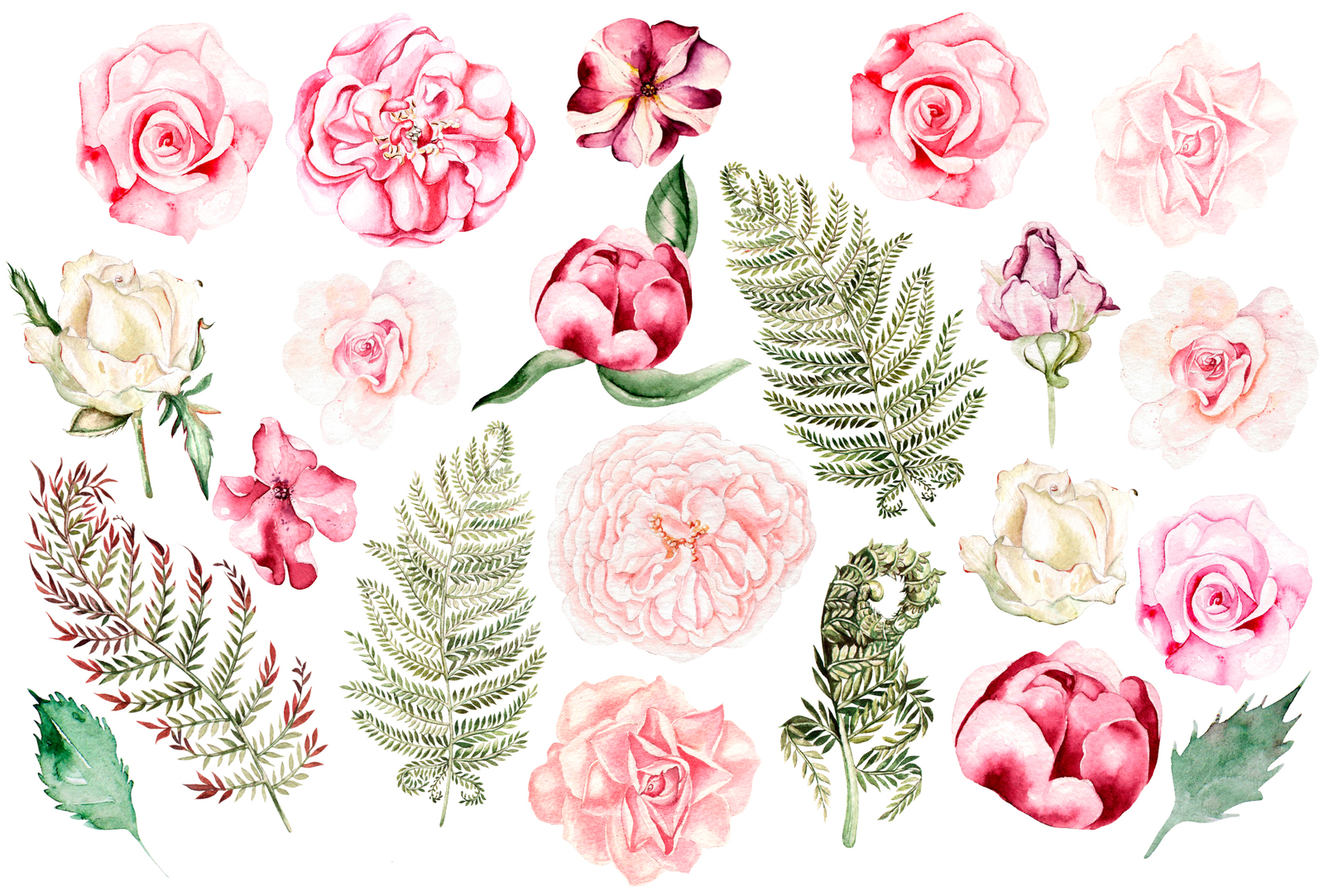 Hand Drawn Watercolor Flowers 23 Png &amp; Vector