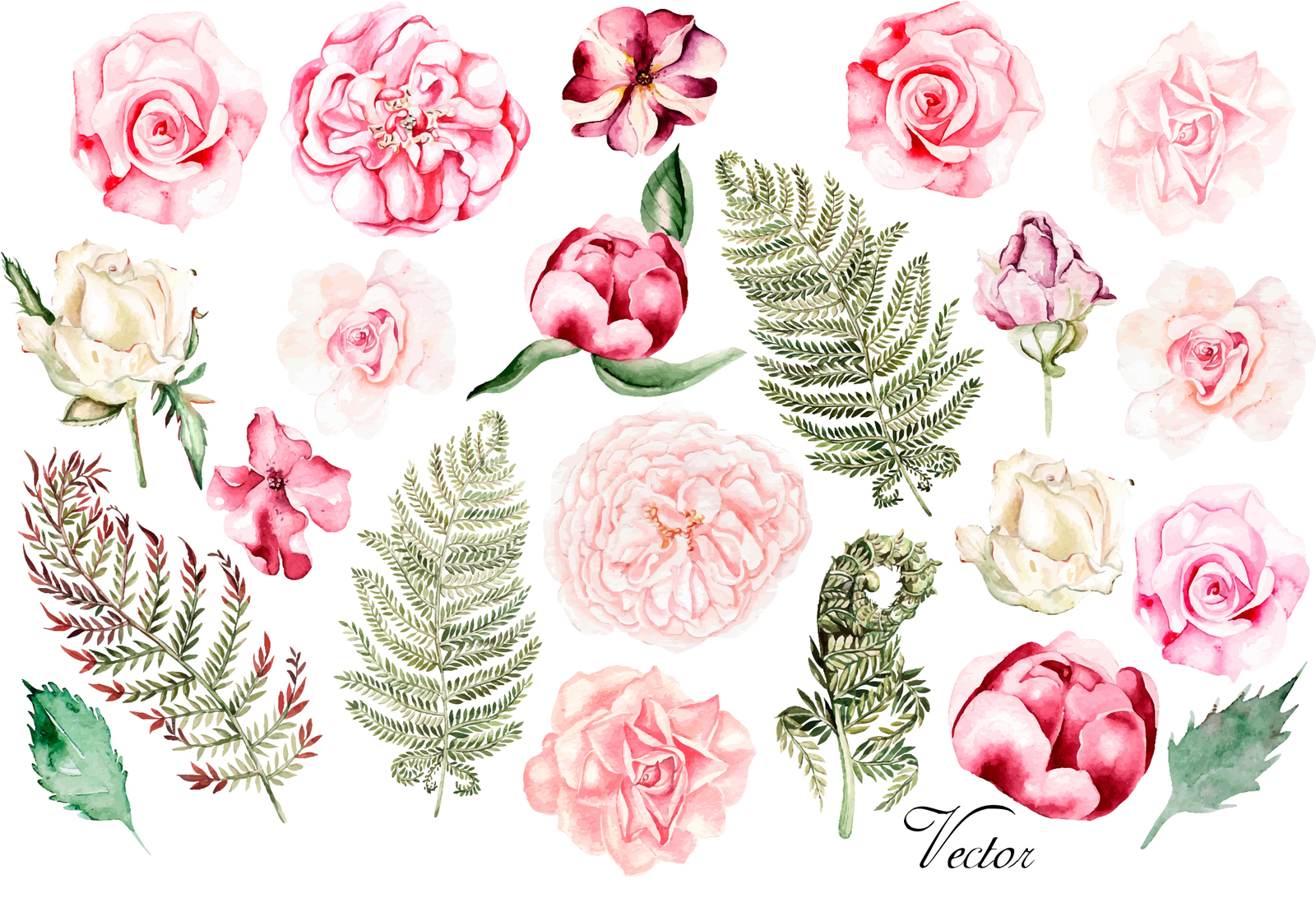 Hand Drawn Watercolor Flowers 23 Png &amp; Vector