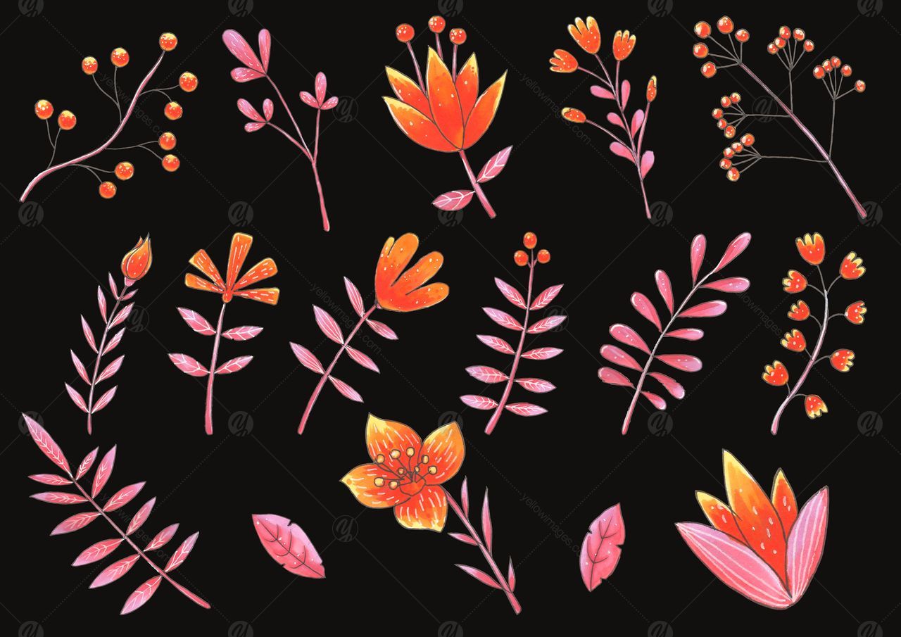 Flowers Set, Hand Drawn Elements