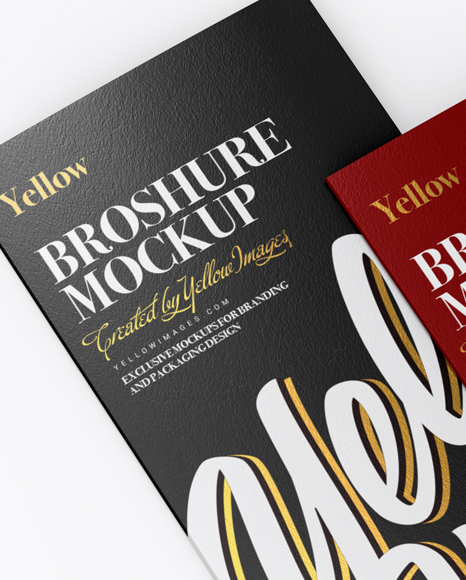 2xDL Brochures Mockup - Half Side View (High-Angle Shot) - Free