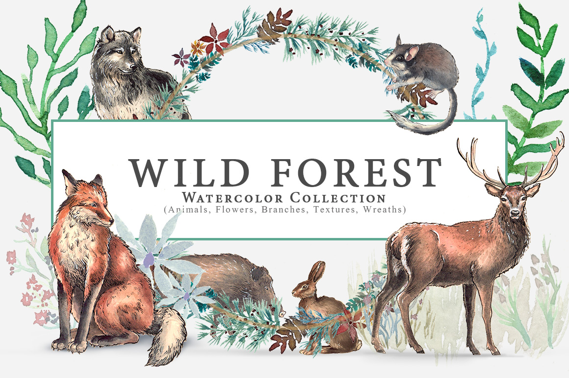 Wild Forest Watercolor Collection Wild Forest Watercolor Collection