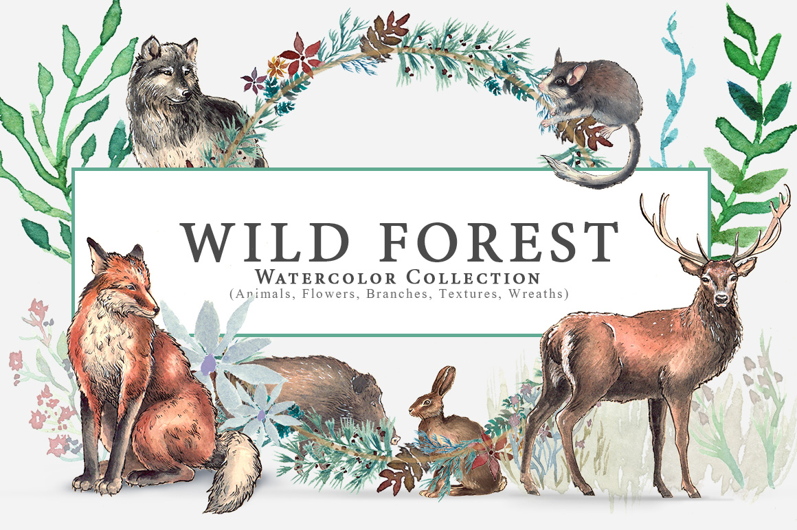 Wild Forest Watercolor Collection