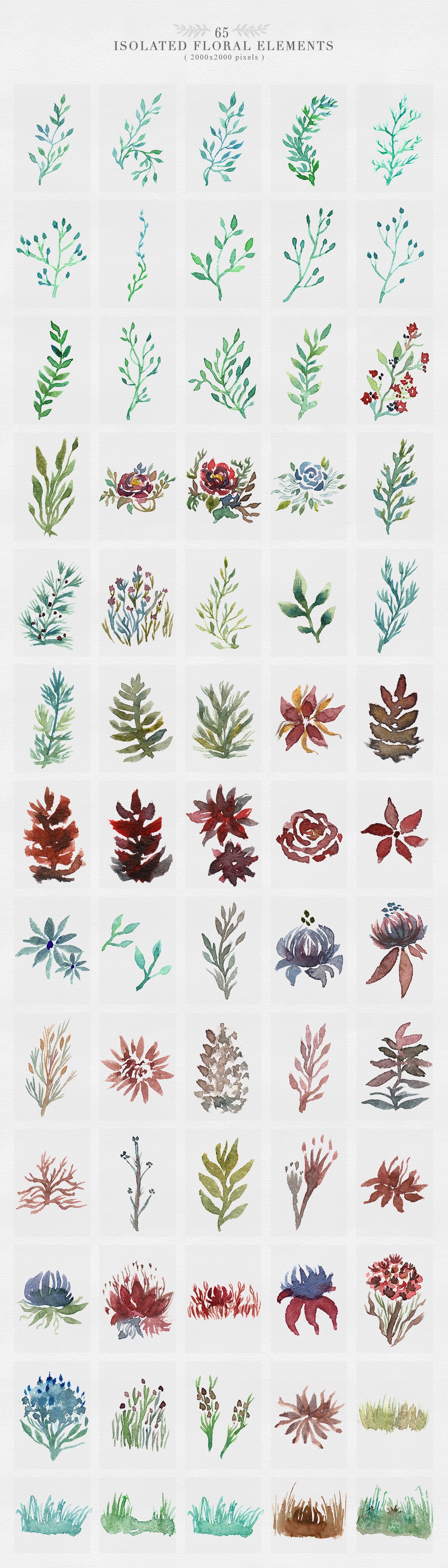 Wild Forest Watercolor Collection Wild Forest Watercolor Collection