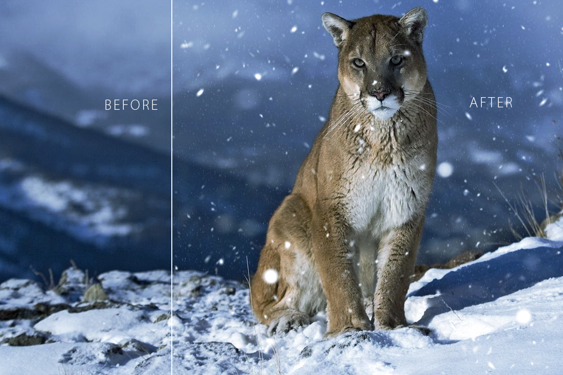 Only Visual Effects Bundle Only Visual Effects Bundle