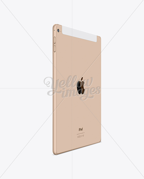 Apple iPad Air 2 Gold Mockup - Infinity Bundle