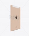 Apple iPad Air 2 Gold Mockup - Infinity Bundle