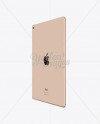 Apple iPad Air 2 Gold Mockup - Infinity Bundle