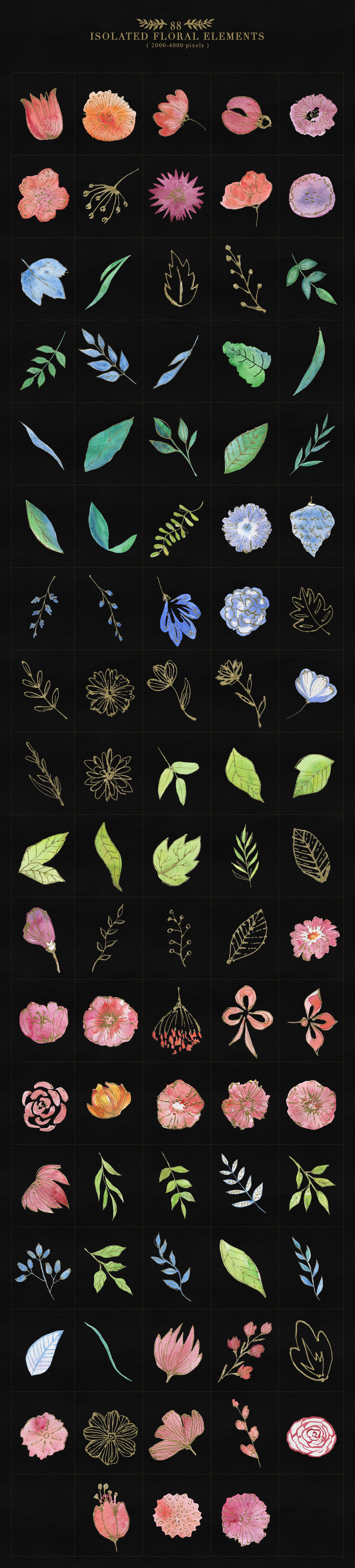 Collection of Floristic Cliparts Collection of Floristic Cliparts