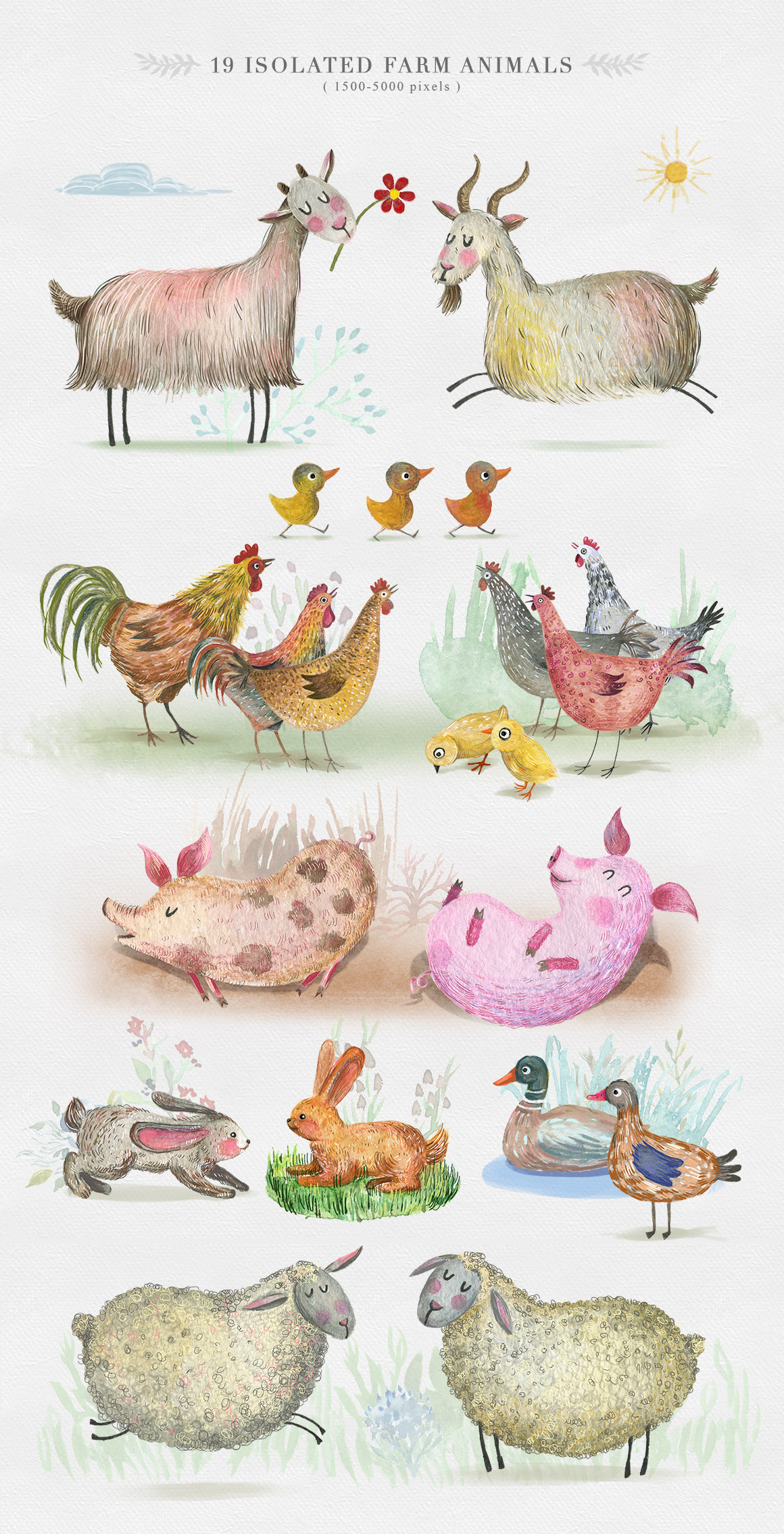 Cute Animals Watercolor Collection Cute Animals Watercolor Collection