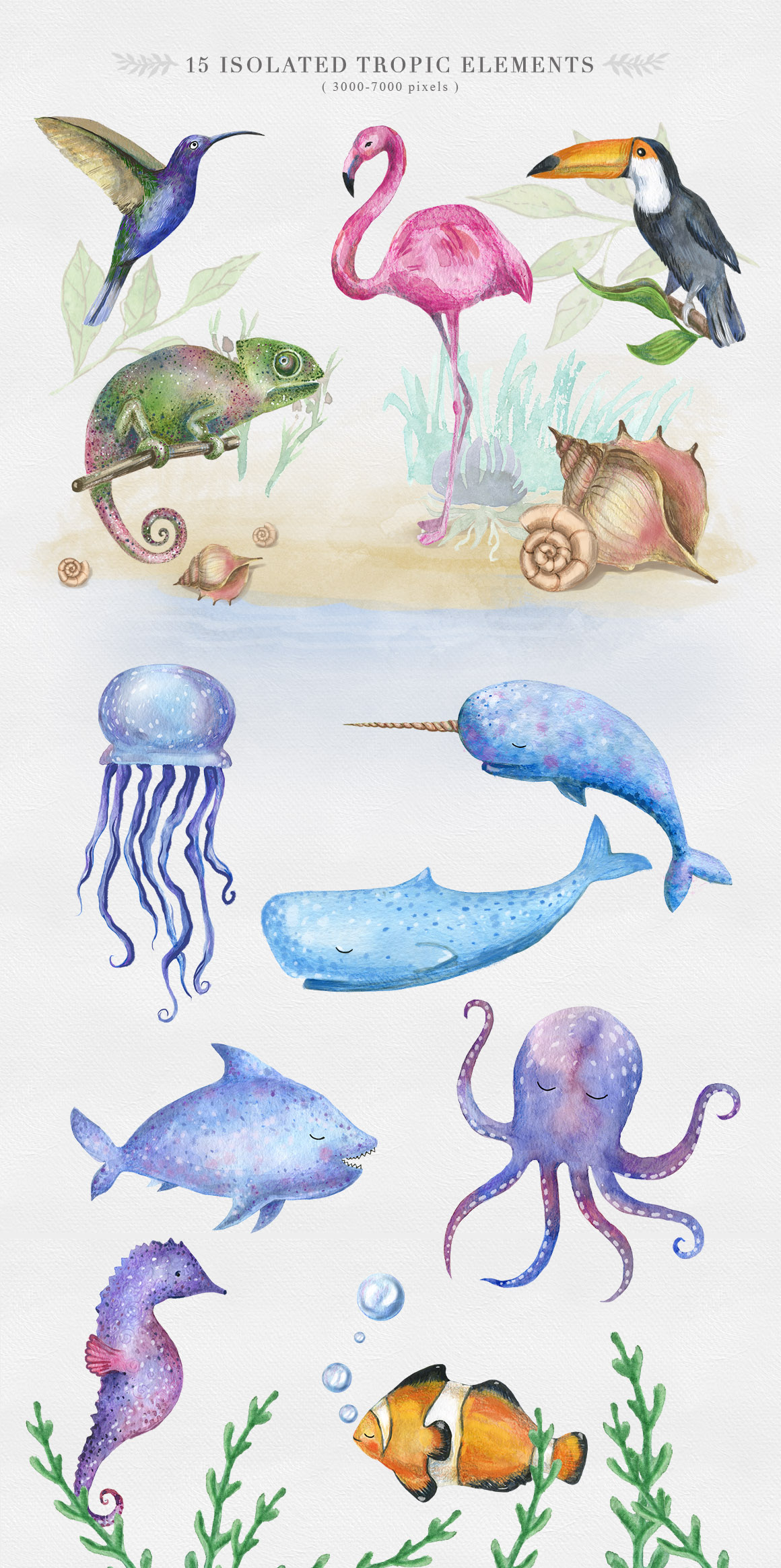 Cute Animals Watercolor Collection Cute Animals Watercolor Collection