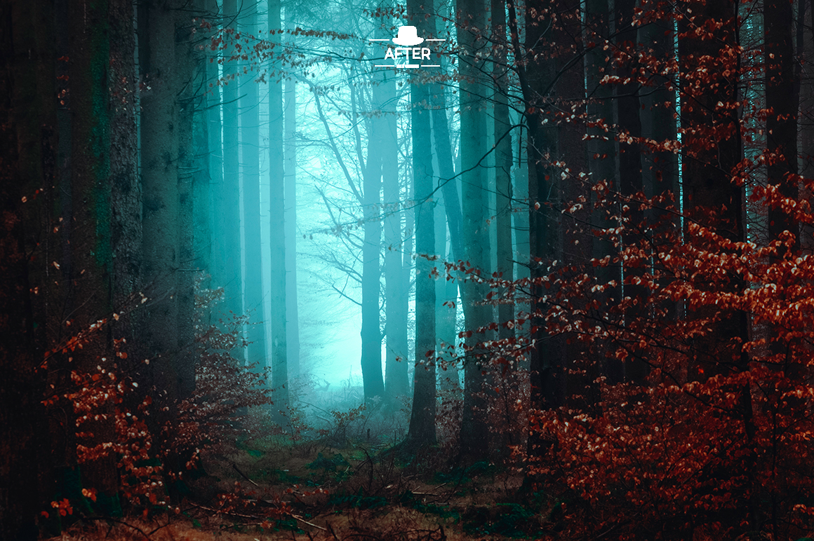 Dreamy Lightroom Presets Dreamy Lightroom Presets