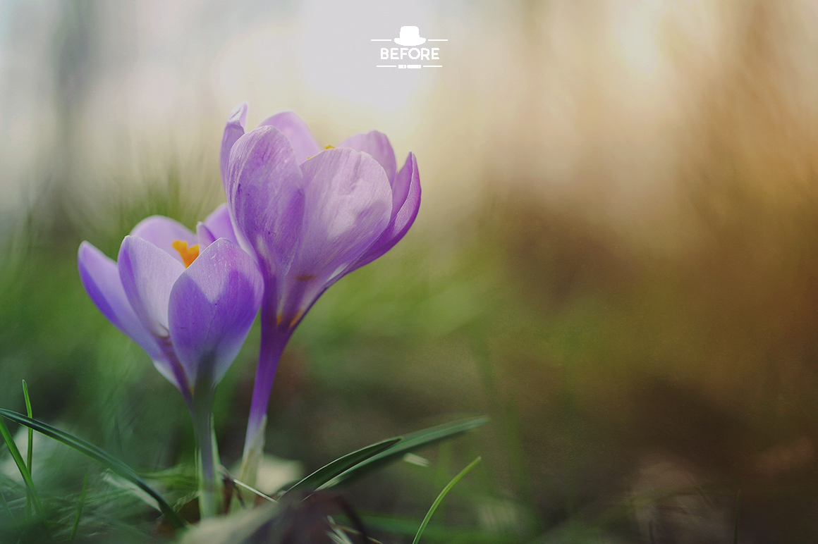 Dreamy Lightroom Presets Dreamy Lightroom Presets