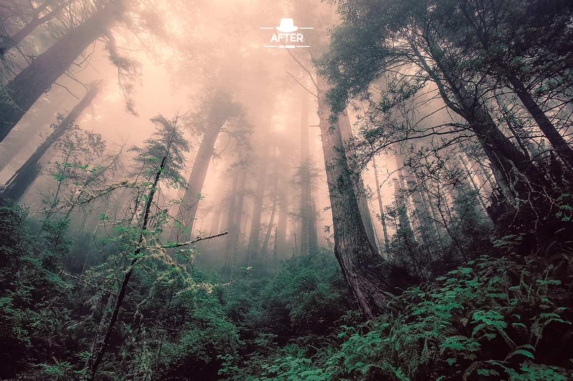 Dreamy Lightroom Presets Dreamy Lightroom Presets
