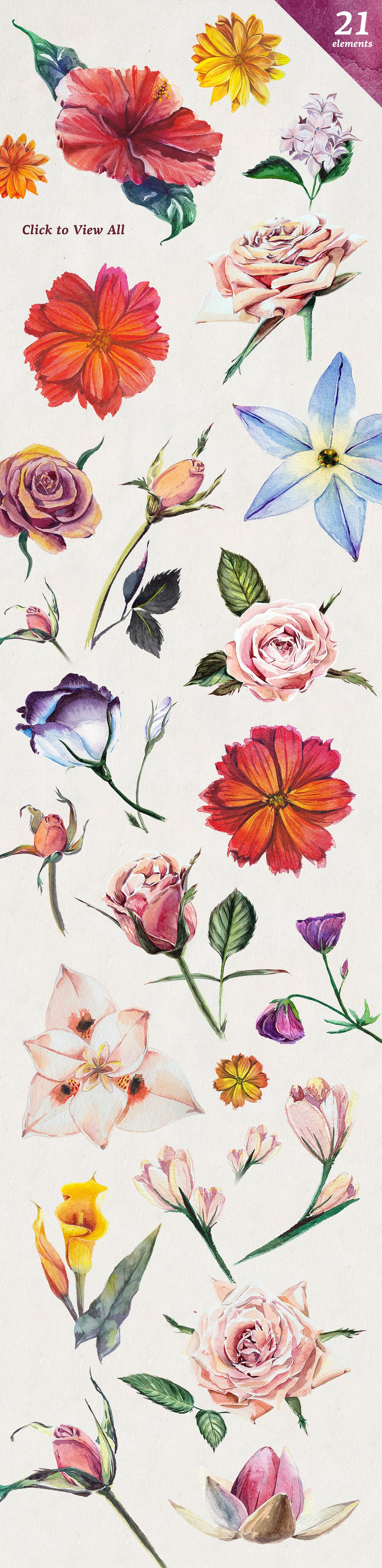 Florist: Watercolor Flowers Set