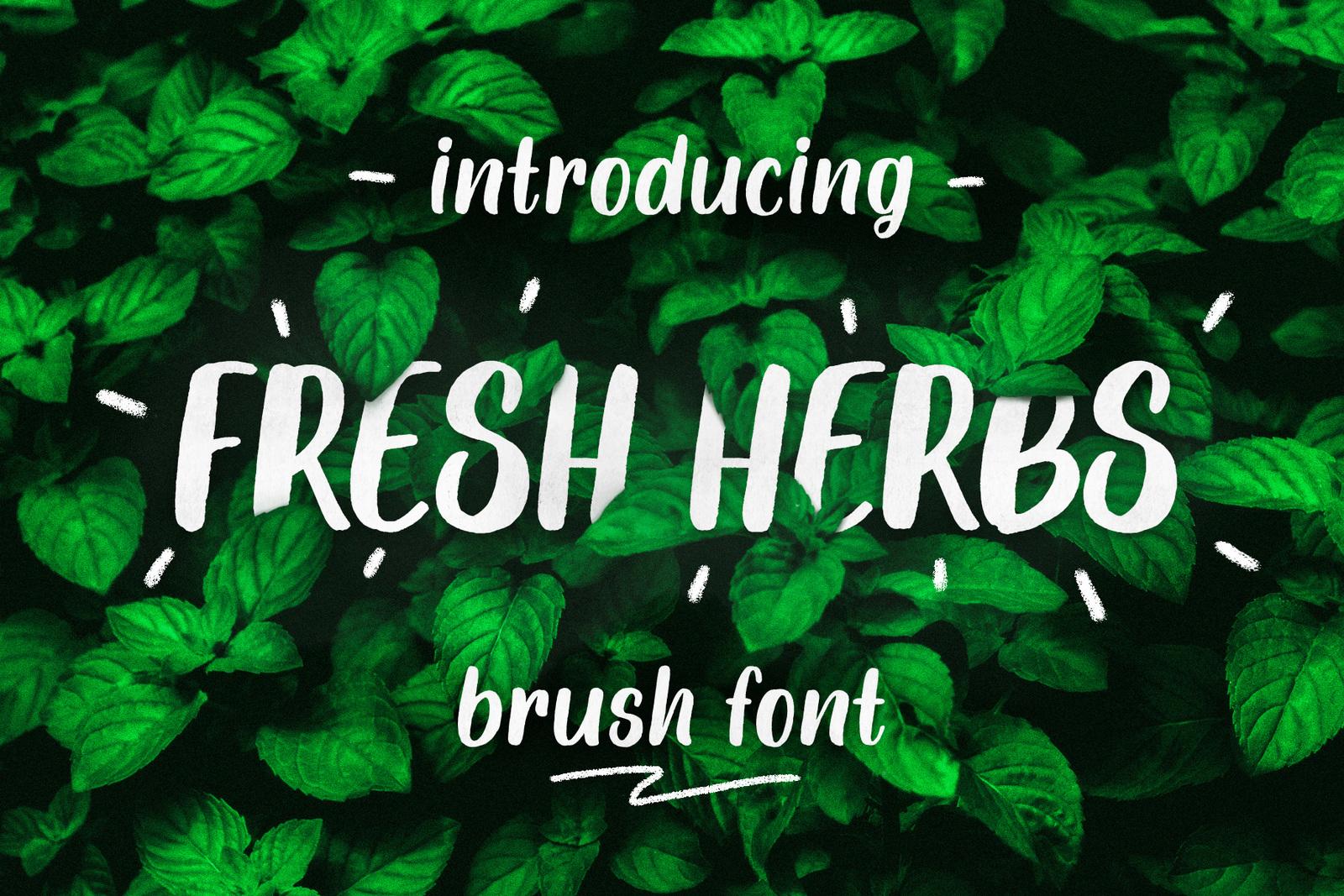 Fresh Herbs font Fresh Herbs font