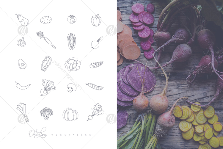 One Line Vegetables & Fruit One Line Vegetables & Fruit