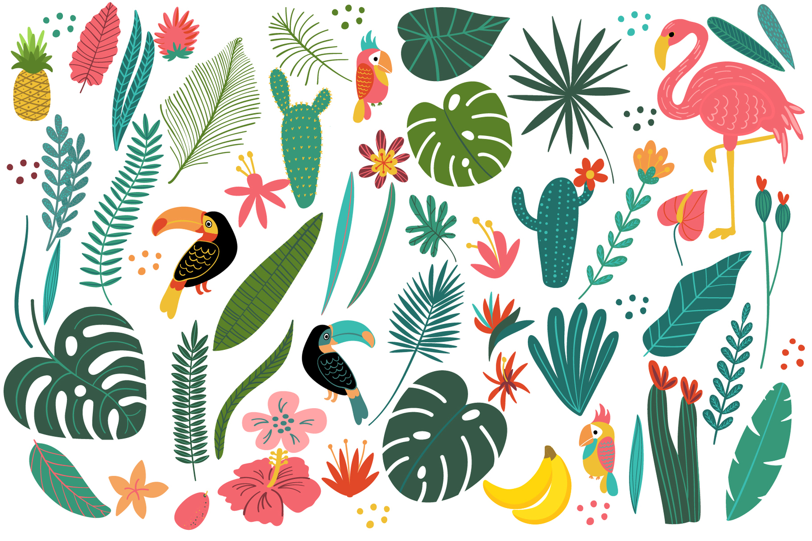 Tropical Clip Art, Lettering &amp; Patterns Set