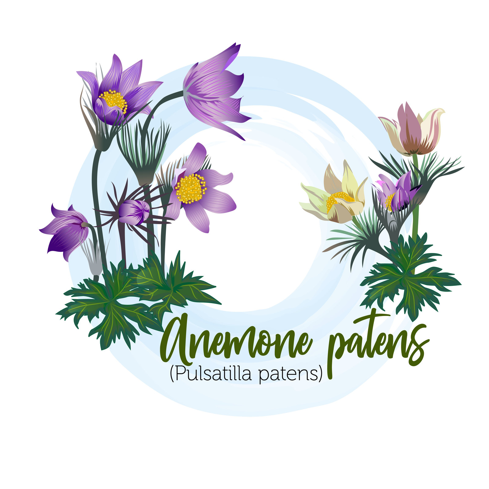 Spring flowers Spring flowers