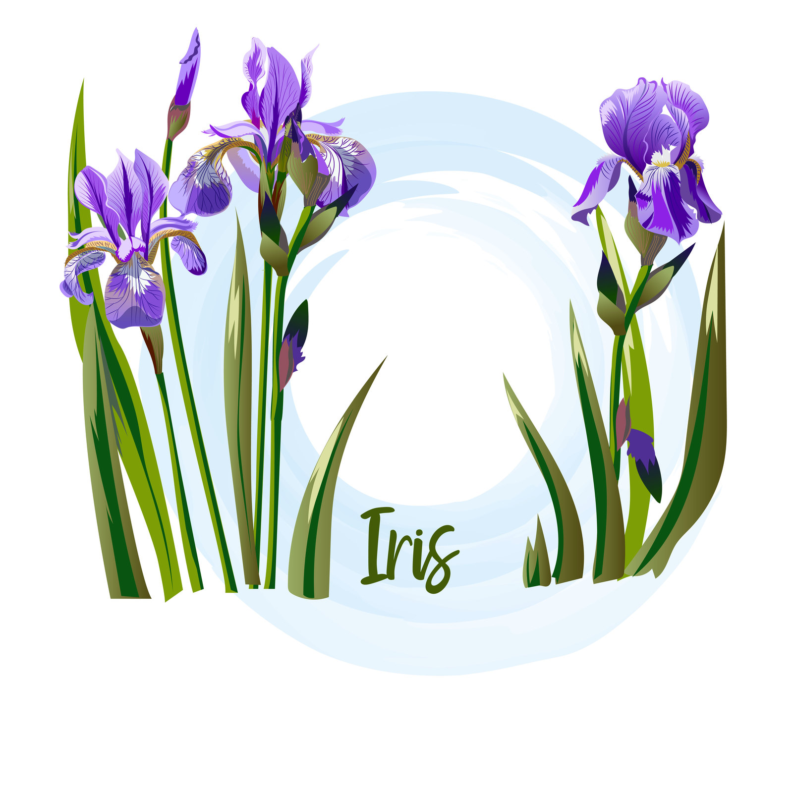 Spring flowers Spring flowers