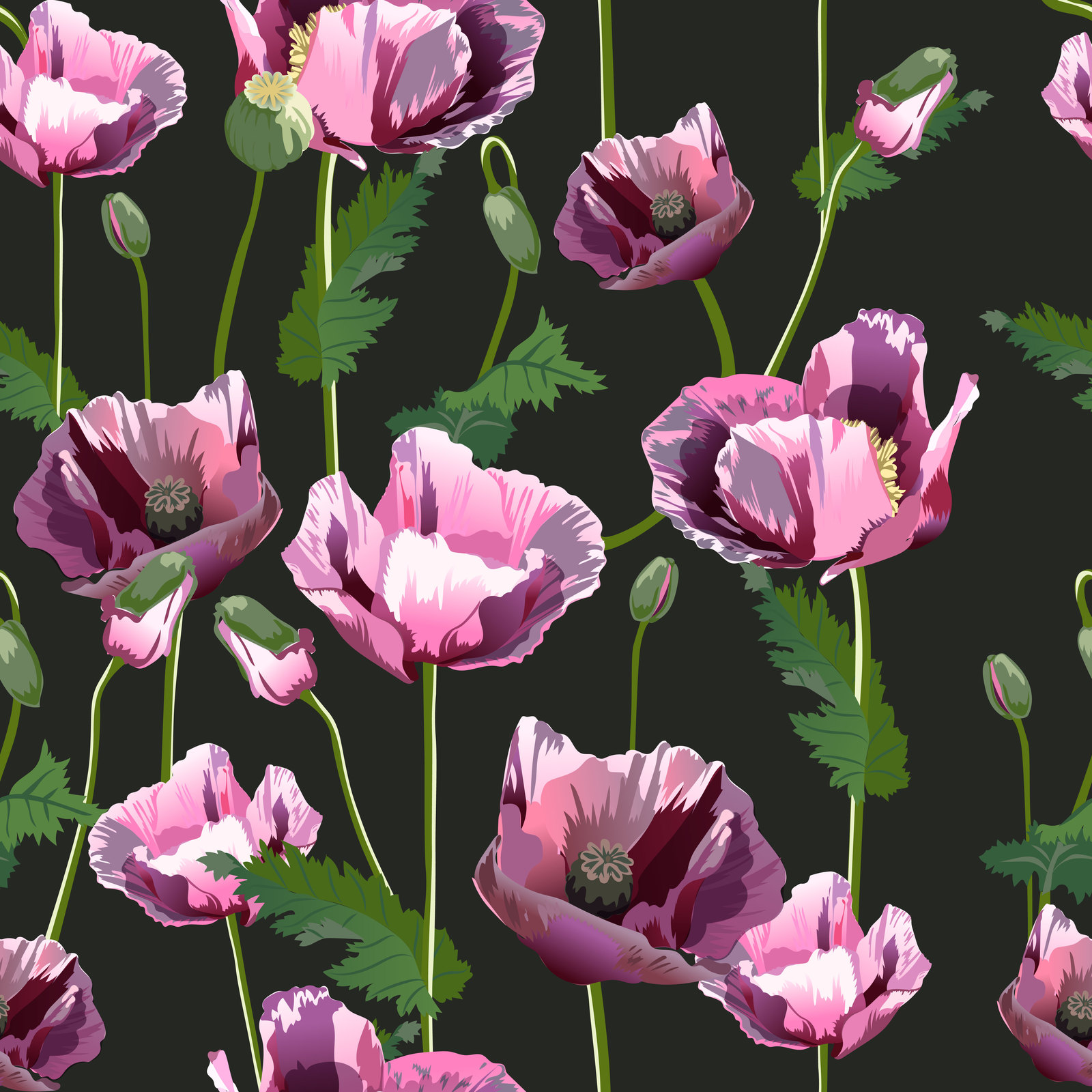 Spring flowers Spring flowers