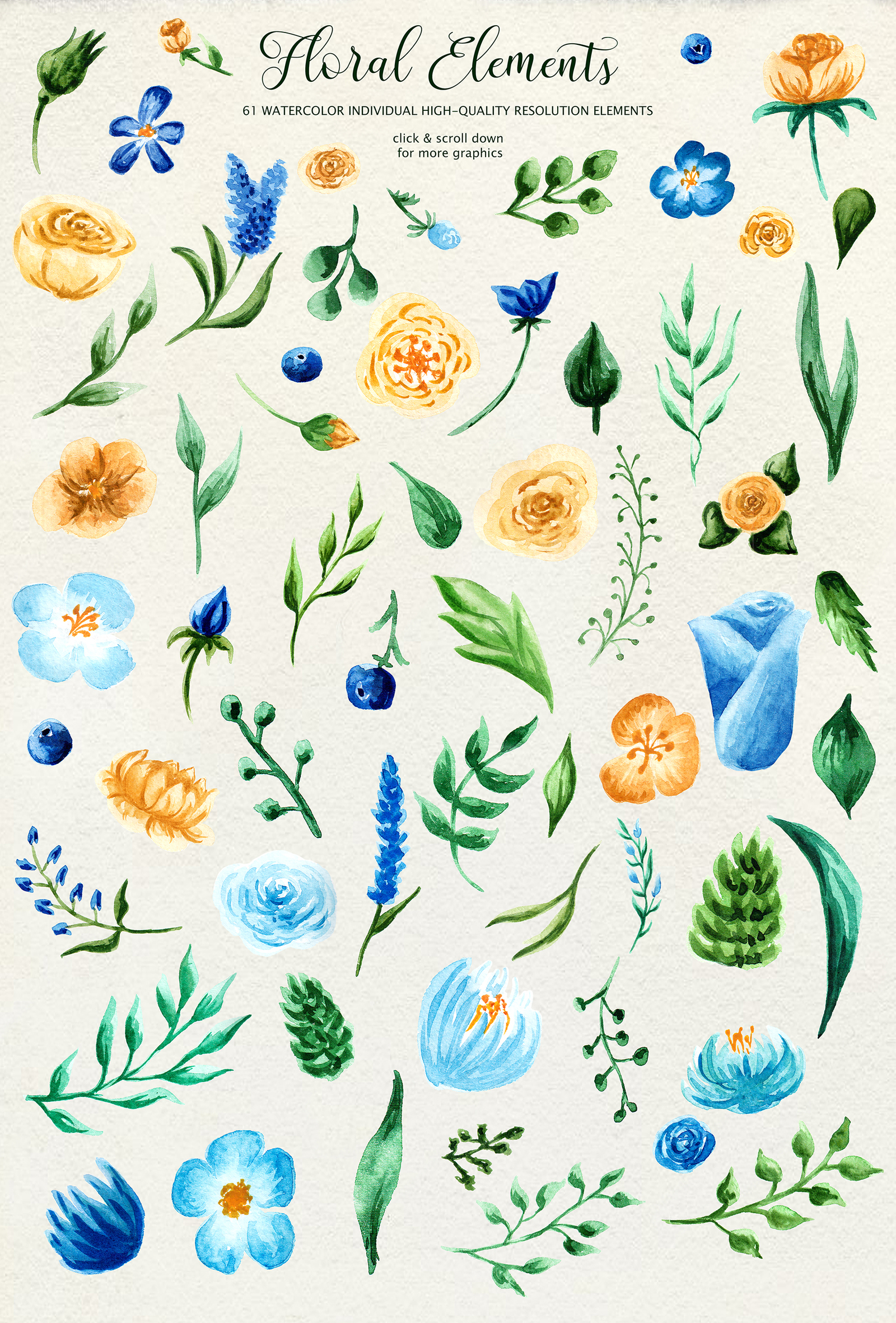 Birth of Watercolor Flower Set Birth of Watercolor Flower Set