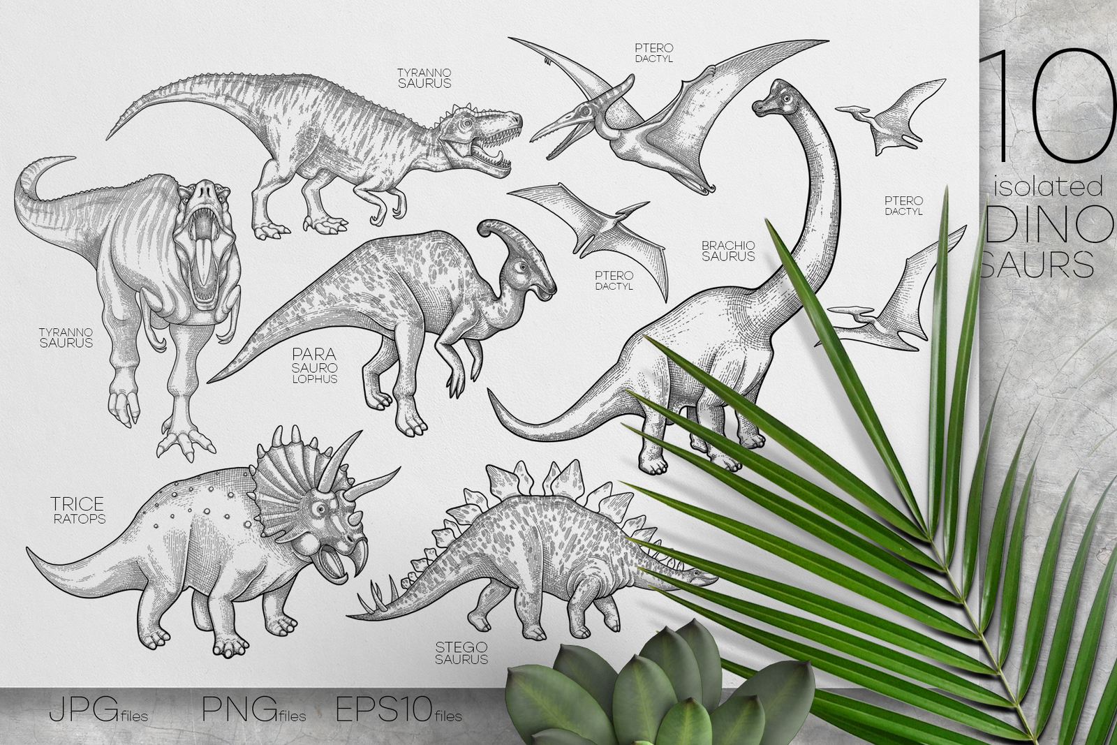 Graphic Dinosaurs - coloring pages