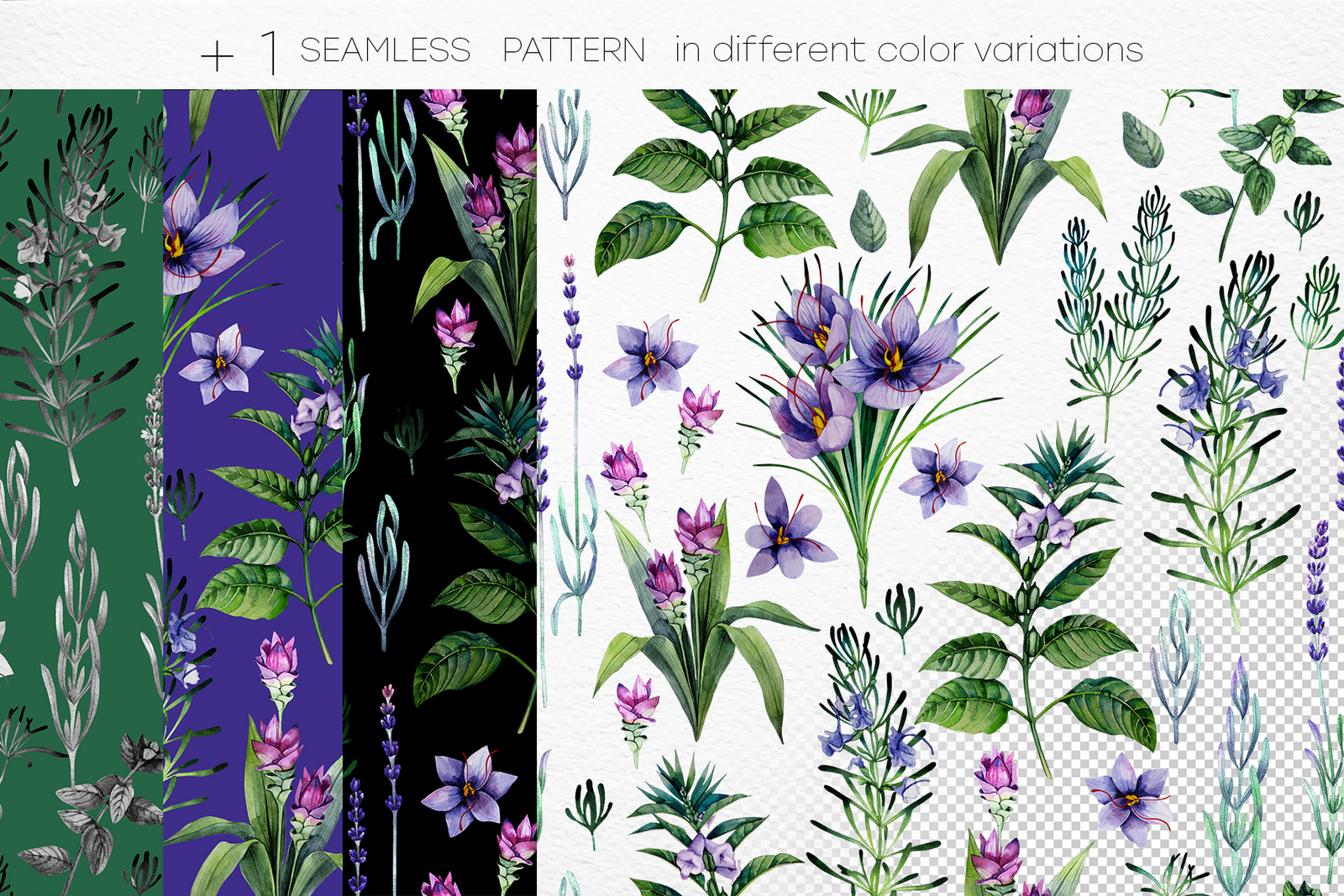 Watercolor Herbs Watercolor Herbs