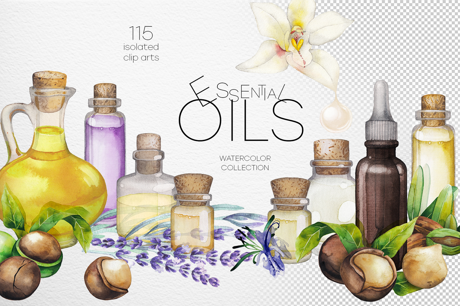 Watercolor essential oils