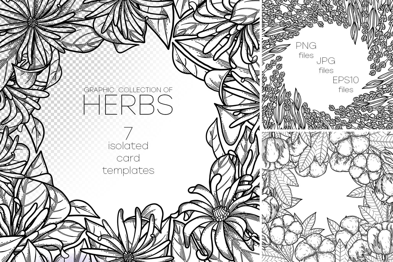 Graphic Herbs